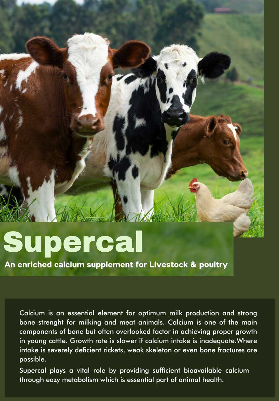 Supercal